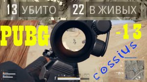 PUBG минус 13