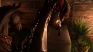 Проект 2024 Сериал " Кровавая корона" / 3 серия