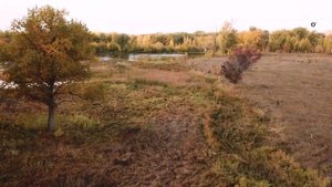 Вольск, рыбаки, Приверх, осень 2021