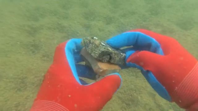 Подводный поиск. Кольцо в ракушке. смотреть онлайн