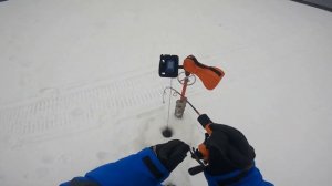 Кама , судак под белой