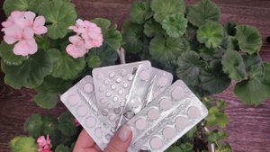 Сделайте ТАК с ГЕРАНЬЮ Осенью и тогда даже дохлый цветок оживет и будет пышно цвести очень долго!