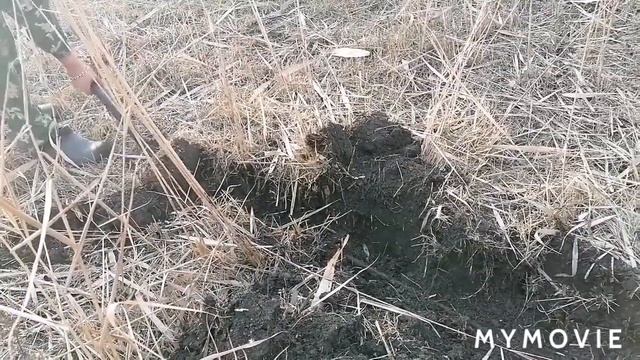 ТАКОЕ МЫ ЕЩЁ НЕ ДОСТАВАЛИ!!! //ВОТ ЭТО КОП!!! //ЗАРАБОТОК В ДЕРЕВНЕ смотреть онлайн