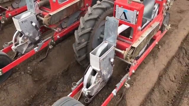 Посев моркови BEJO Каскад F1 смотреть онлайн