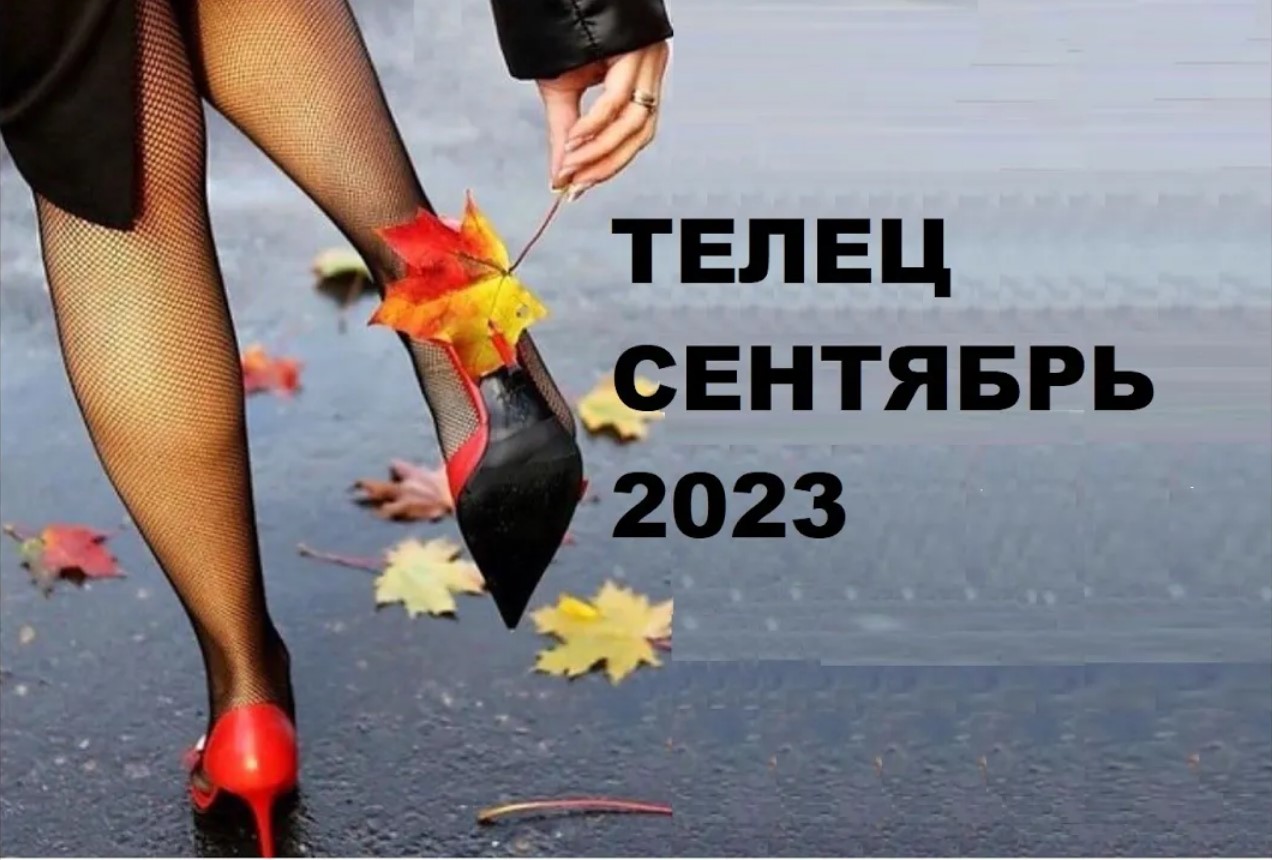 ♉ ТЕЛЬЦЫ ✨ ПРОГНОЗ на СЕНТЯБРЬ 2023