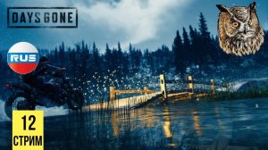 (СТРИМ) Days Gone #12