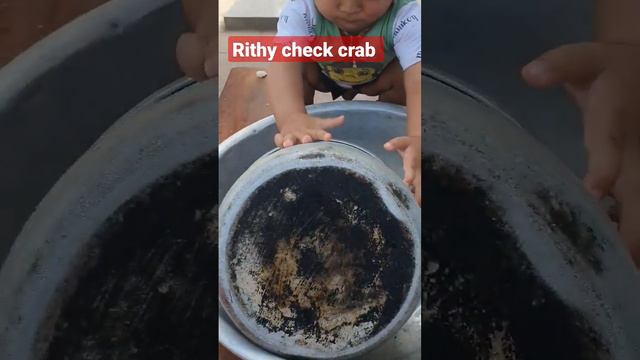 rithy check crab