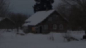 ОБЗОР загородной НЕДВИЖИМОСТИ Псковская обл.