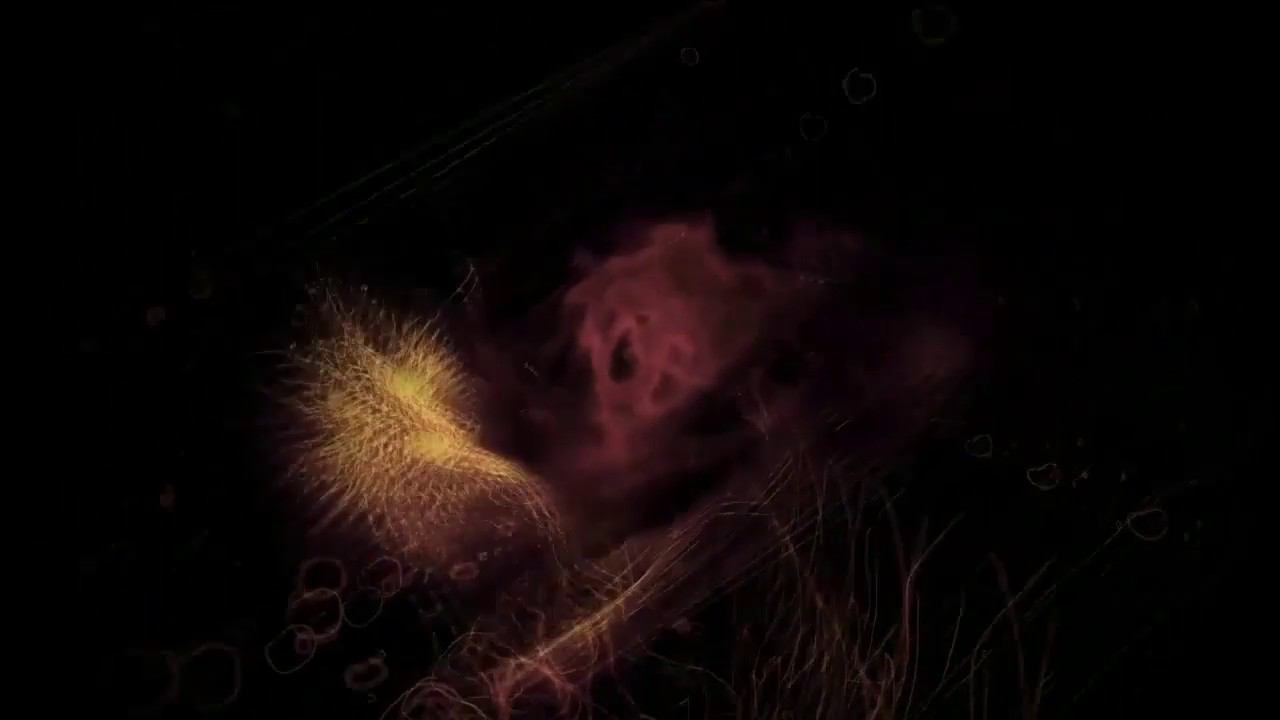 Flat T "Ghosts" смотреть онлайн