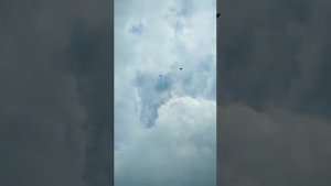 ГОЛУБИ В НЕБЕ. голубиный питомник "Казинка"