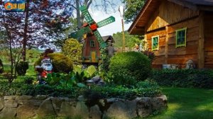 Обзор цветника /Цветы на клумбе