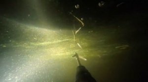 Ночная охота на сома в Москва-реке