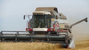 СЕЛЬСКОЕ ХОЗЯЙСТВО 2016