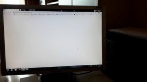 Монитор Самсунг . 21 диагональ . Тест работы .