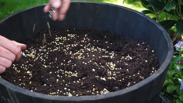 How to Plant an Autumn Container Garden | Container Planting смотреть онлайн