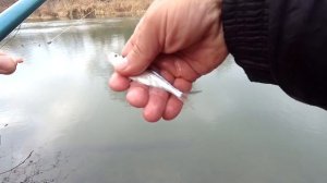 Рыбалка на поплавок в ноябре 2021  на реке в холодную погоду.