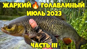 ЭТА ПРИМАНКА - СНОВА СПАСЛА РЫБАЛКУ!