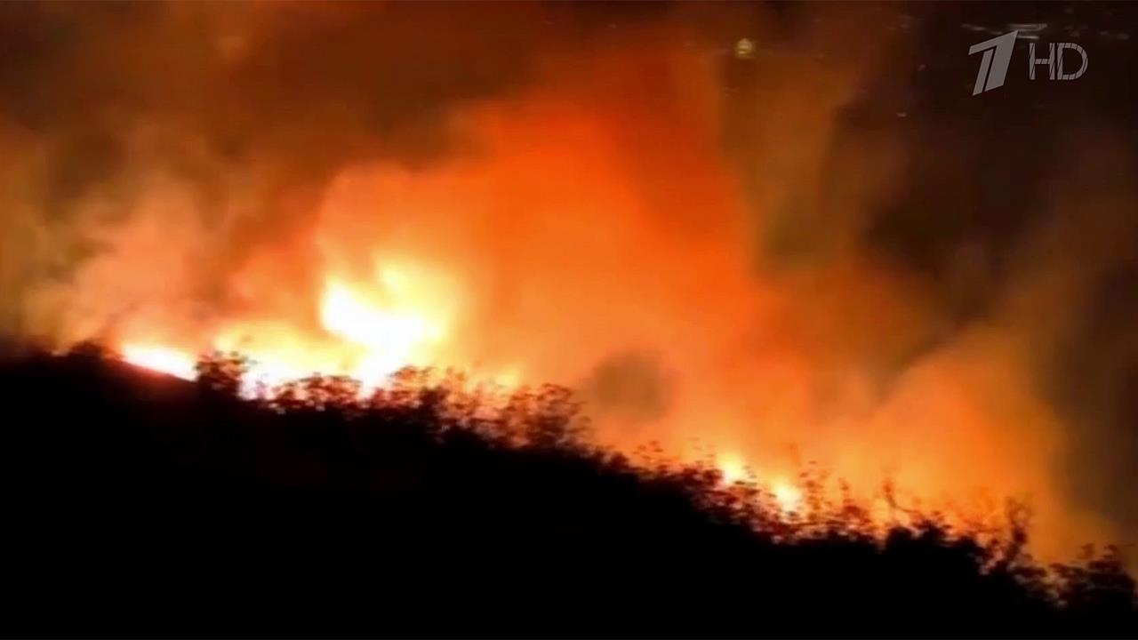 В Геленджике площадь возгорания увеличилась почти до 120 гектаров