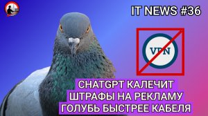 #IT #Новости 36 | ChatGPT калечит, Штрафы за рекламу, Голубь быстрее кабеля