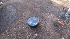 Каждый мужчина должен посадить дерево и сменить масло в КПП )))