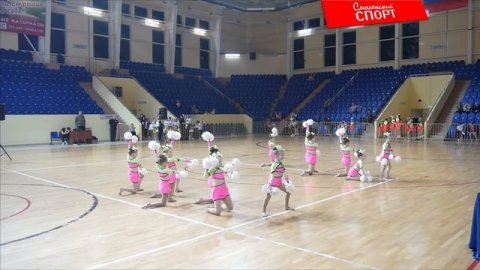 «All cheer» ЧИР-ФРИСТАЙЛ ГРУППА / ЧЕМПИОНАТ и ПЕРВЕНСТВО СМОЛЕНСКОЙ ОБЛАСТИ ПО ЧИР СПОРТУ/25.01.202
