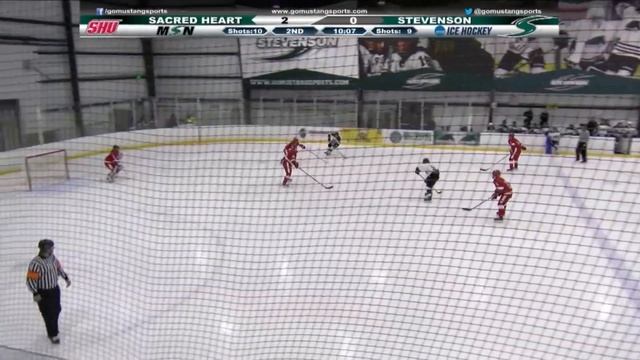 Women's Ice Hockey vs Sacred Heart Game 2 Highlights смотреть онлайн