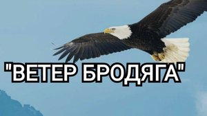ВЕТЕР БРОДЯГА | Я построю дом у тихой пристани | Старая добрая песня Игорь Костровой