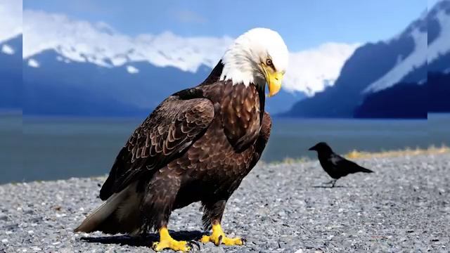 Помоги, Господи, изжить Гордыню! Сборник поучений о Гордости. Святые Отцы смотреть онлайн