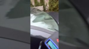 Рено симбол АКПП