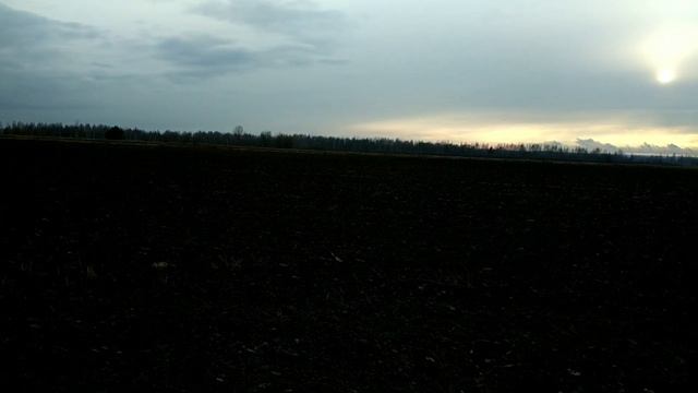 Вечерний коп на древней ярмарке! Тверское пуло! Первые на свежей распашке! смотреть онлайн