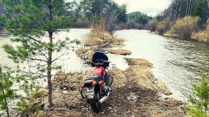 Лесные покатушки на ИЖ ПЛАНЕТА 5 | ВЛОГ