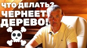 ПОЧЕМУ ДЕРЕВО ЧЕРНЕЕТ? Что делать? Чернеет бревно. Чернеет сруб.