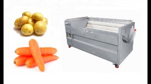 Машина для мойки и полировки корнеплодов GB-1800