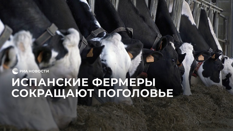 Испанские фермеры сокращают поголовье