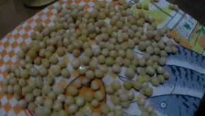 Как сварить горох на рыбалку? Как приготовить горох для ловли карпа?