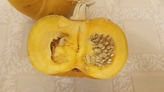 Кабачок - цукини Ницца. Обзор. Классная дача. смотреть онлайн