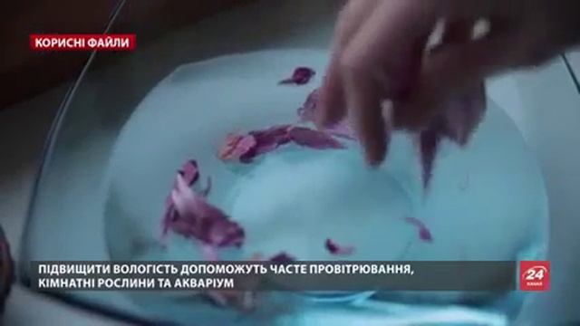 Як збільшити вологість повітря в домашніх умовах? смотреть онлайн