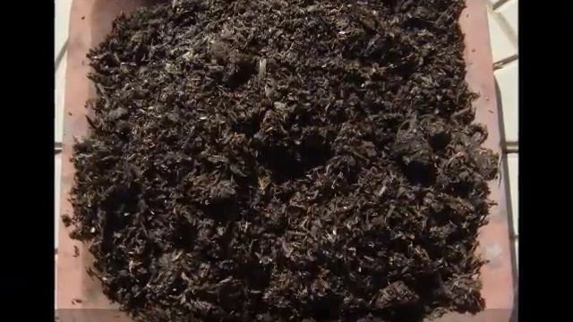 Производство удобрений из илов рыборазводных прудов