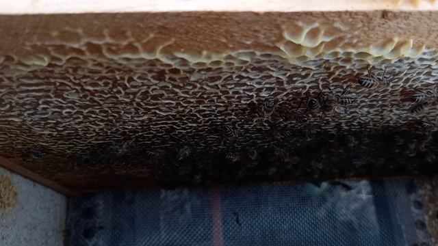 Опасная оттепель смотреть онлайн