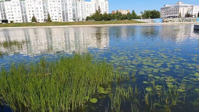 VLOG 29.05.23г Красивое место в г. Орел/ Детский парк/ В гостях/ Мои удобрения для комнатных цветов смотреть онлайн