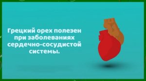 Грецкие орехи - очень полезно