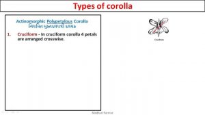 5  Morphology of flowering plants Part 6 Aestivation Madhuri