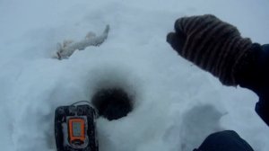 зимняя рыбалка на судака в Казани,Волга,поклевки судака,на вибы и балансиры