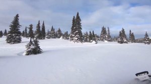 2020 Ski-Doo Expedition SE 900 ACE Turbo off trail in fresh pow !