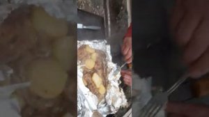 жареный гусь на мангале