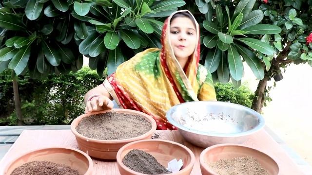 Ice Plant/Mesembryanthemum Part :- 1 / (Grow From Seeds) || Ice plant को बीज से कैसे उगाये смотреть онлайн