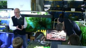 Мастер класс по созданию аквариума Tetra с живыми растениями