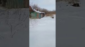 село Ельцовка Усть-Калманский район Алтайский край