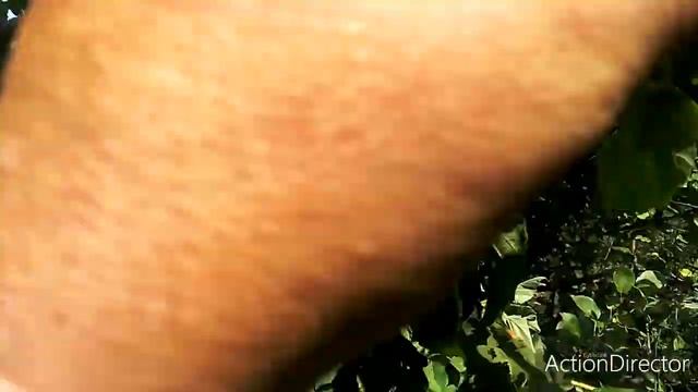 ГРЕЦКИЙ ОРЕХ И ФУНДУК ,КАК МЫ УВЕЛИЧИЛИ УРОЖАЙНОСТЬ !!! смотреть онлайн