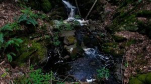 Кому улыбнется удача в начале июля - Гороскоп для всех